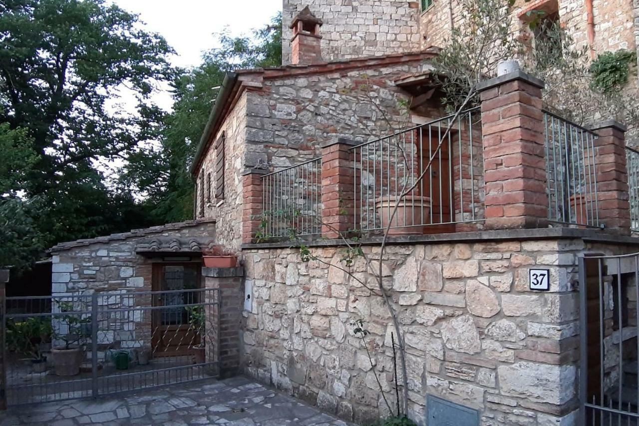 Ferienwohnung Casapaf Serre Di Rapolano Exterior foto